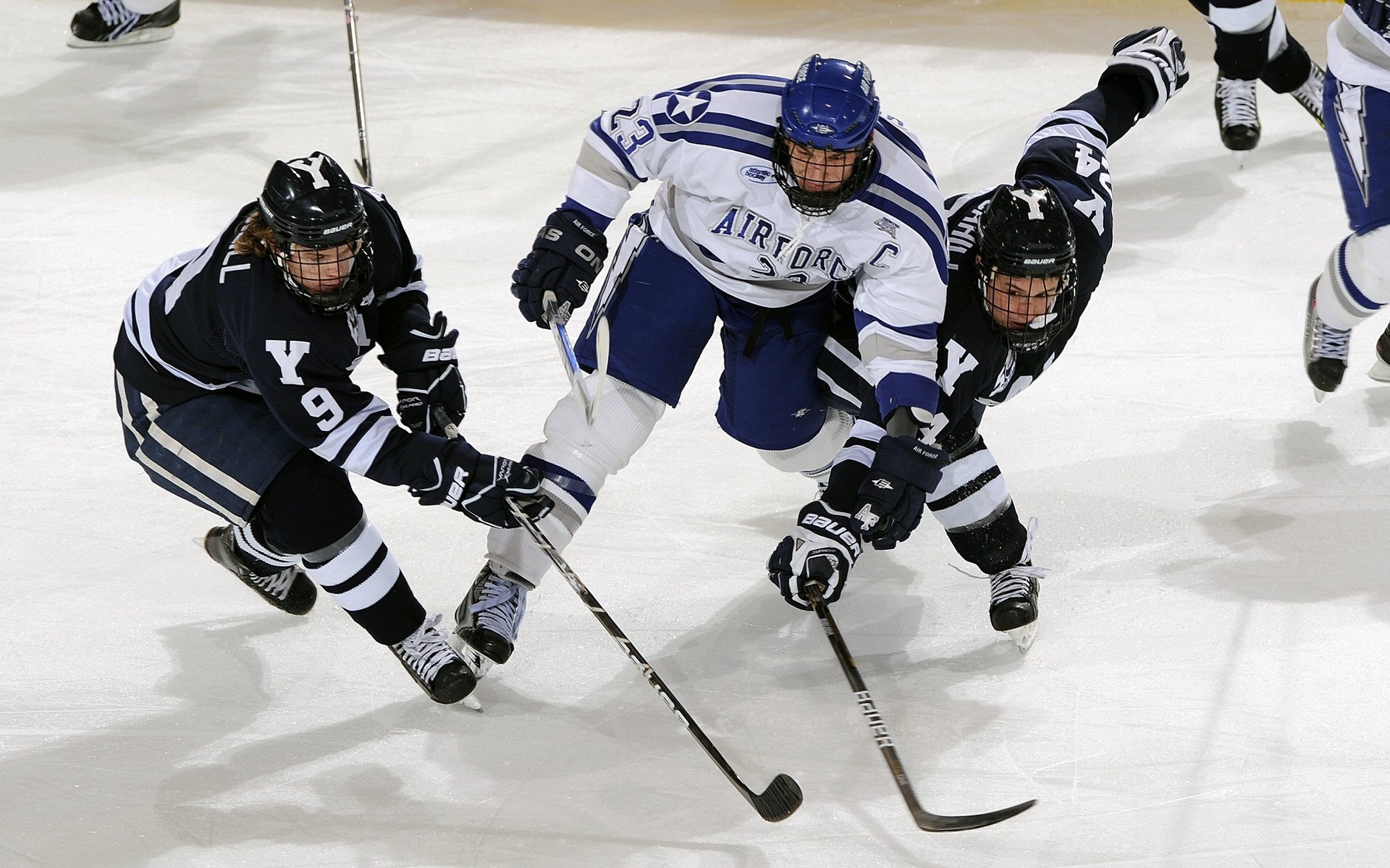 布莱顿主帅称年轻球员敢打敢拼,是球队未来希望,布莱顿首发