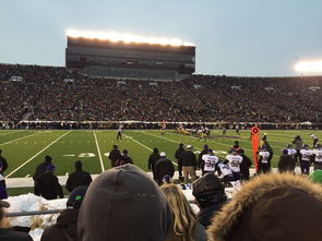 中国足球职业联赛赛场观众服务创新，足球场的观众席